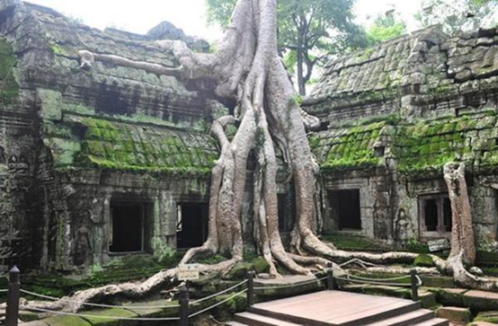 废墟中建造起来的寺庙